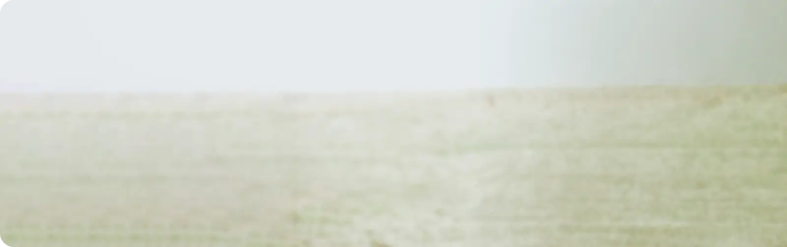 Feedline1-Background.webp