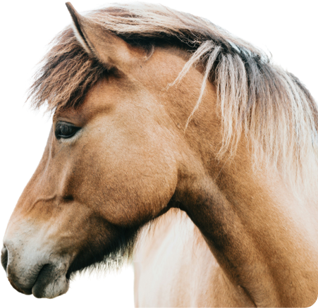 Feedline1-Cutout.png