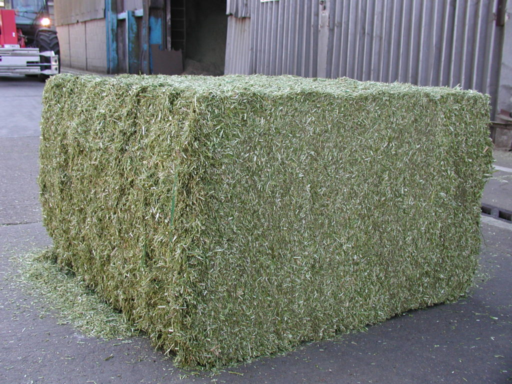 Bale of Hay