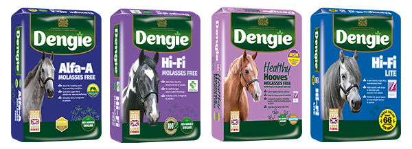 Laminitis products