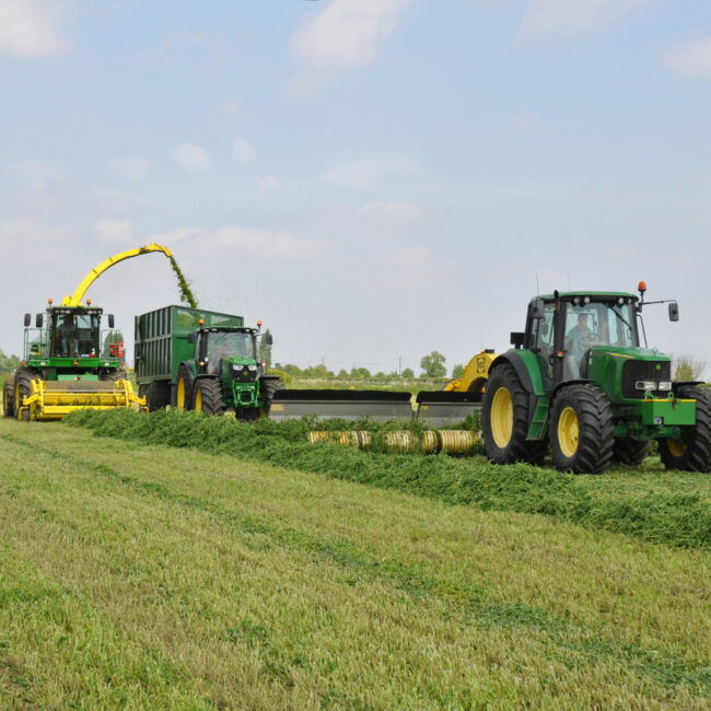 Alfalfa Harvest