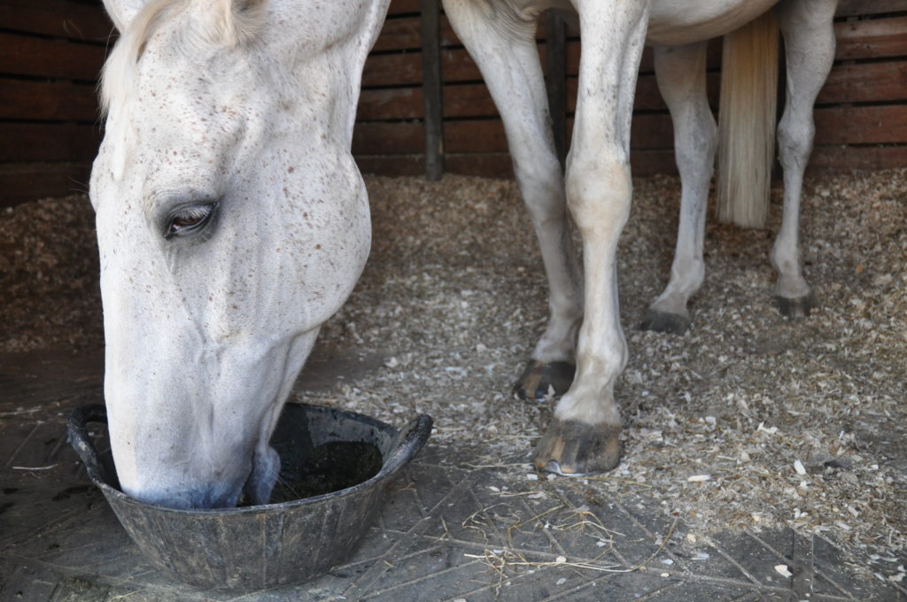 Eating bucket