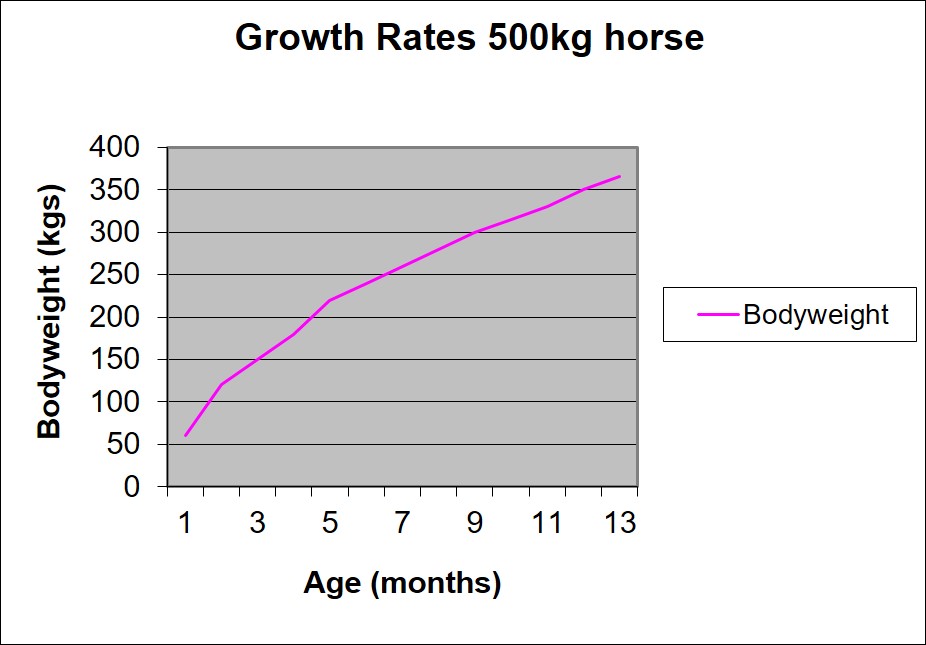 Growth Chart for horses