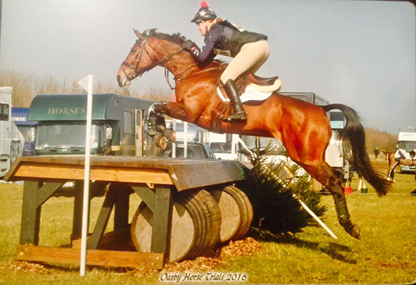 horse jumping fences