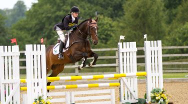 horse jumping fences
