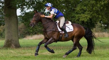 Horse with Dengie Saddle running through field