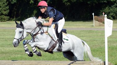 horse jumping fence