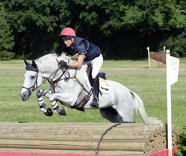 horse jumping fence