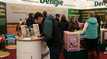 dengie stand at show