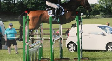horse jumping fences