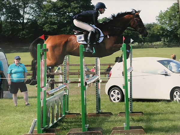 horse jumping fences