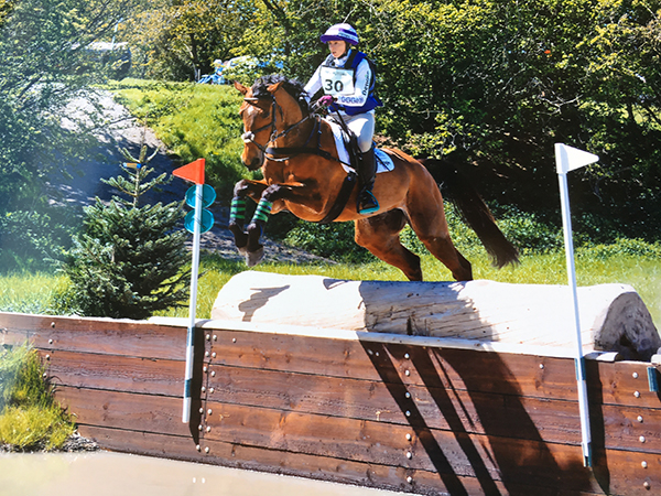 horse jumping fence