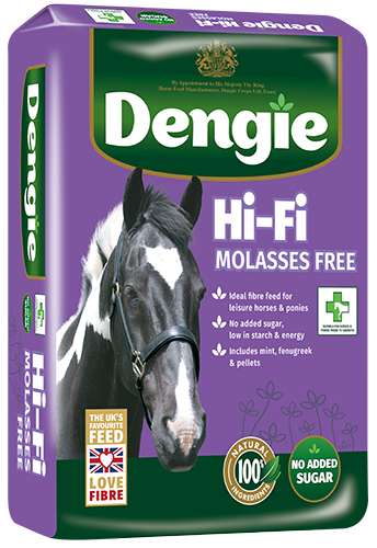 Hi-Fi Molasses Free