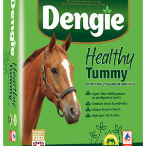 Healthy Tummy
