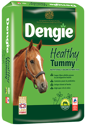 Healthy Tummy