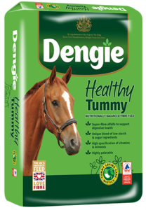 Healthy Tummy