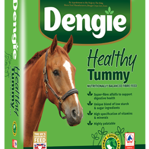 Healthy Tummy