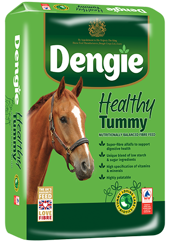 Healthy Tummy