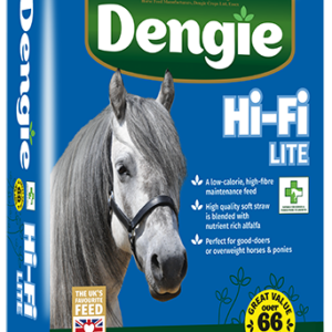 Hi-Fi Lite