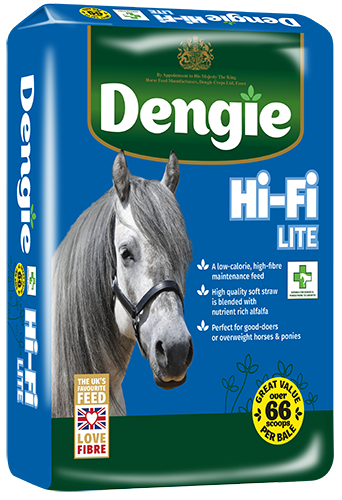 Hi-Fi Lite