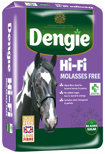Hi-Fi Molasses Free