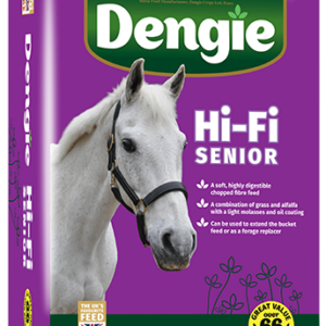 Hi-Fi Senior