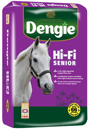 Hi-Fi Senior