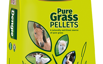 Dengie pure grass pellets