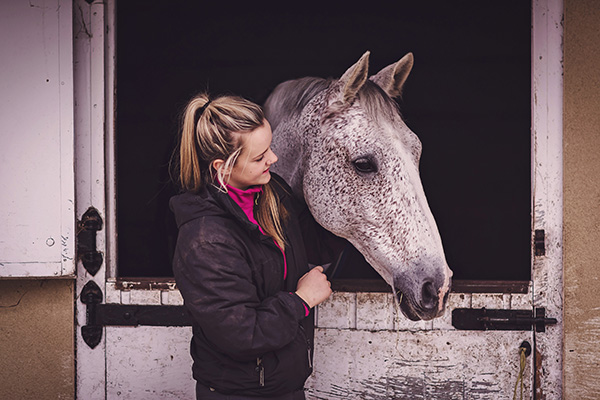 horse in stable