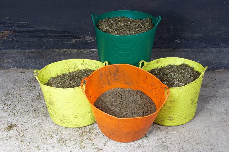 Feed For Older Horses & Ponies In Winter, Best Senior Horse Feeds