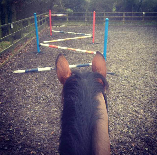 horse jumping fence