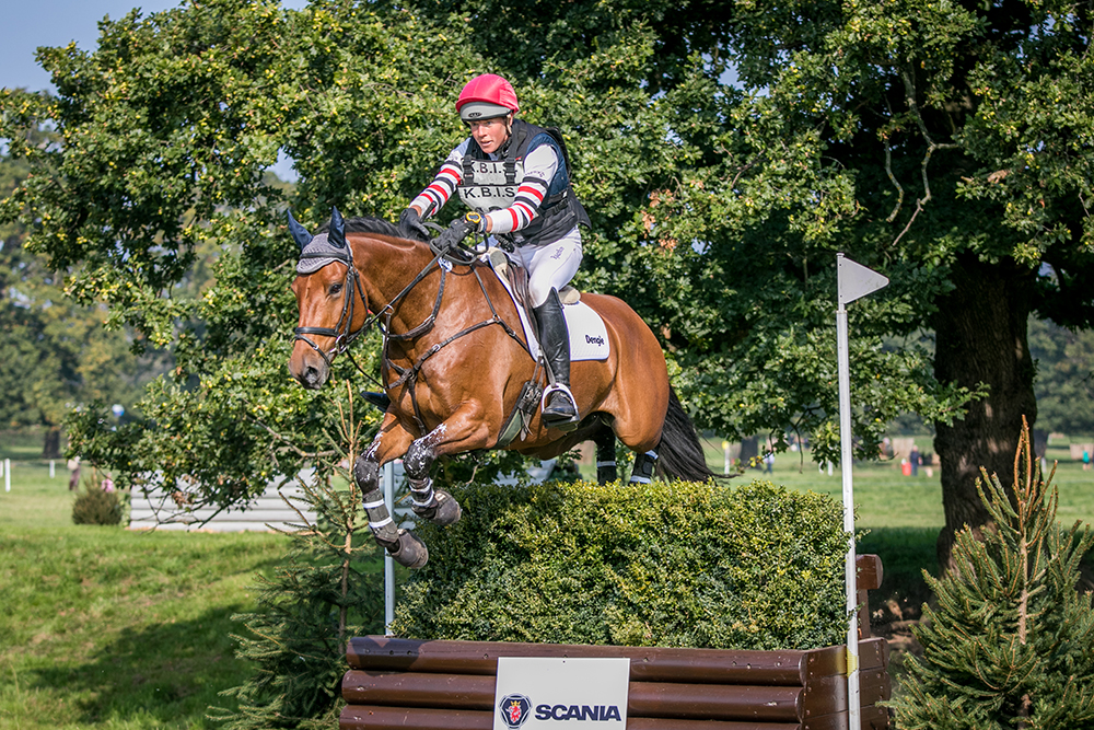 horse jumping fences