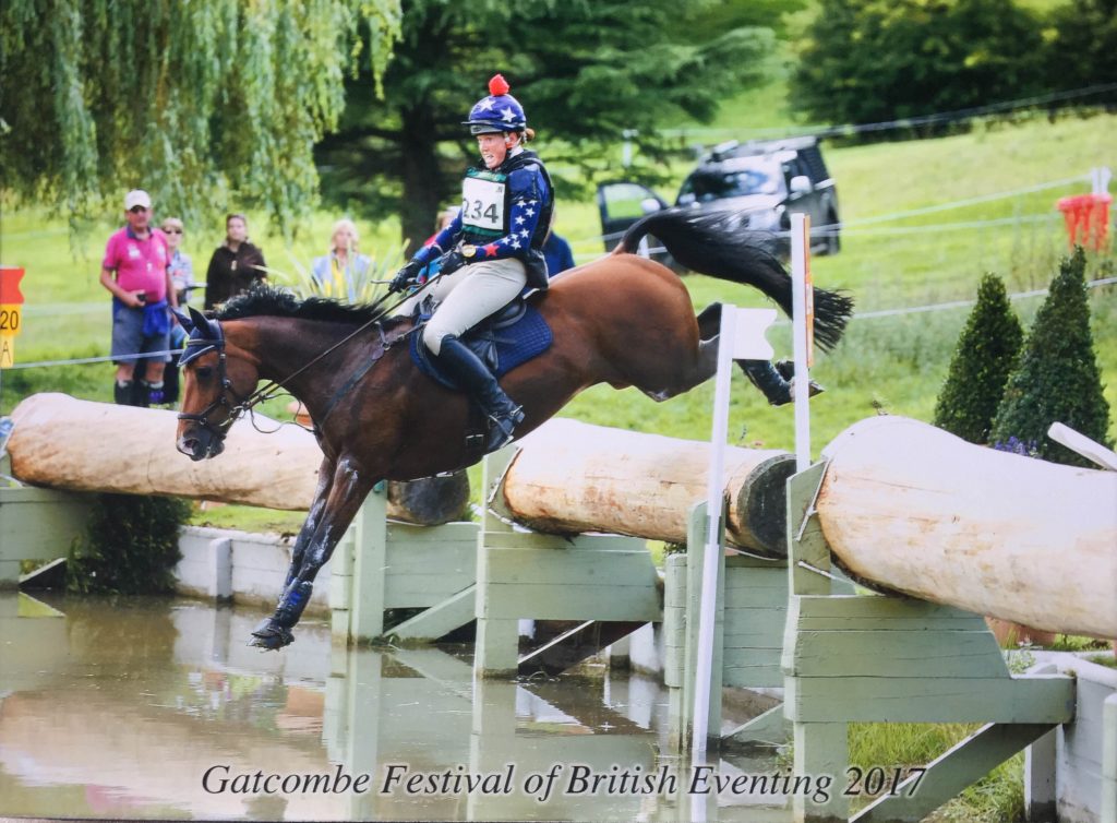 Horse jumping over log into Water