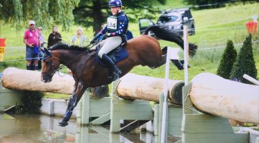 Horse jumping over log into Water