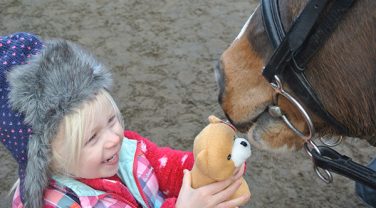 horse with teddy