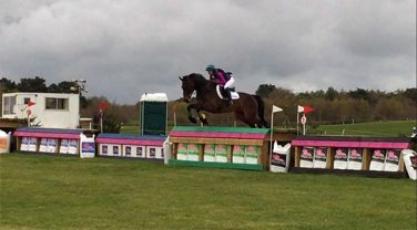 Horse in Dengie Saddle Jumping over Hurdle