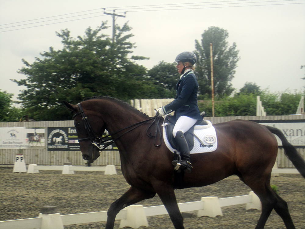 horse rider in paddock