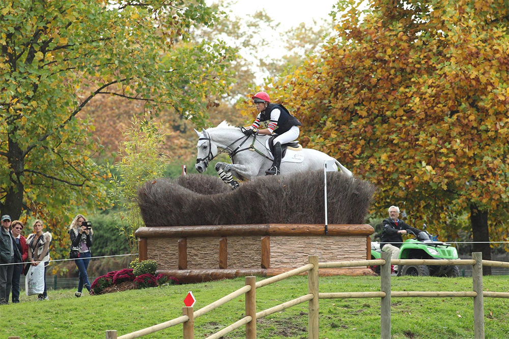 horse jumping fences