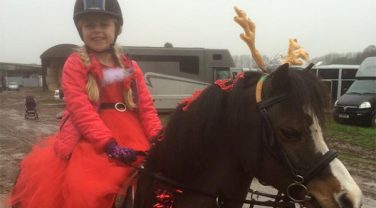 celebrating christmas with horse