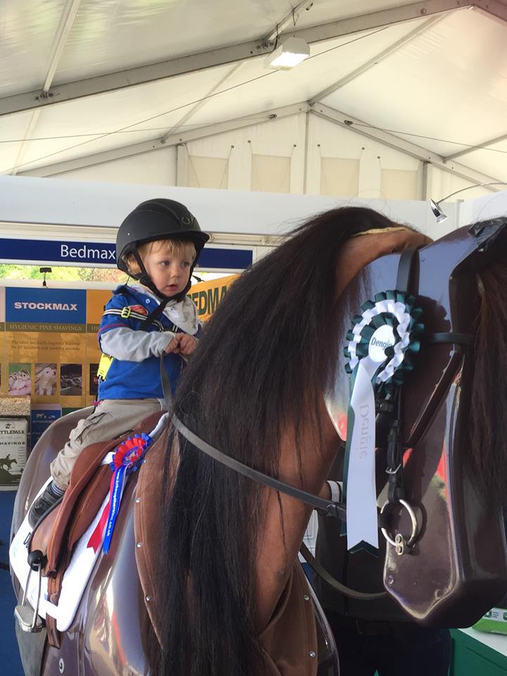 dengie show tent