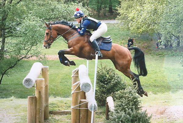 horse jumping fences