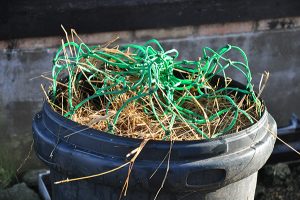 Soaking Hay For Laminitic Horses | Dengie Crops