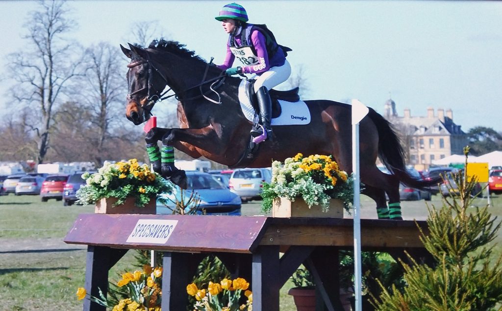 horse jumping fence