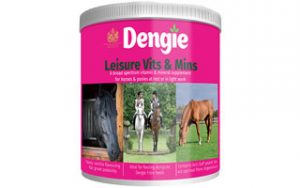 Dengie Leisure Vits and Mins