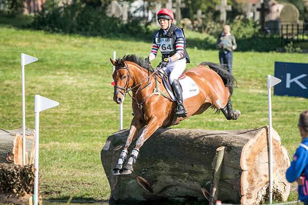 horse jumping fence