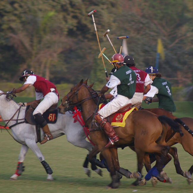Horse Polo