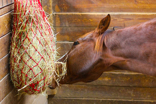 Horse Hay bag