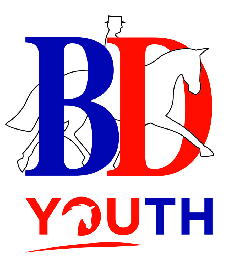 BD Youth logo