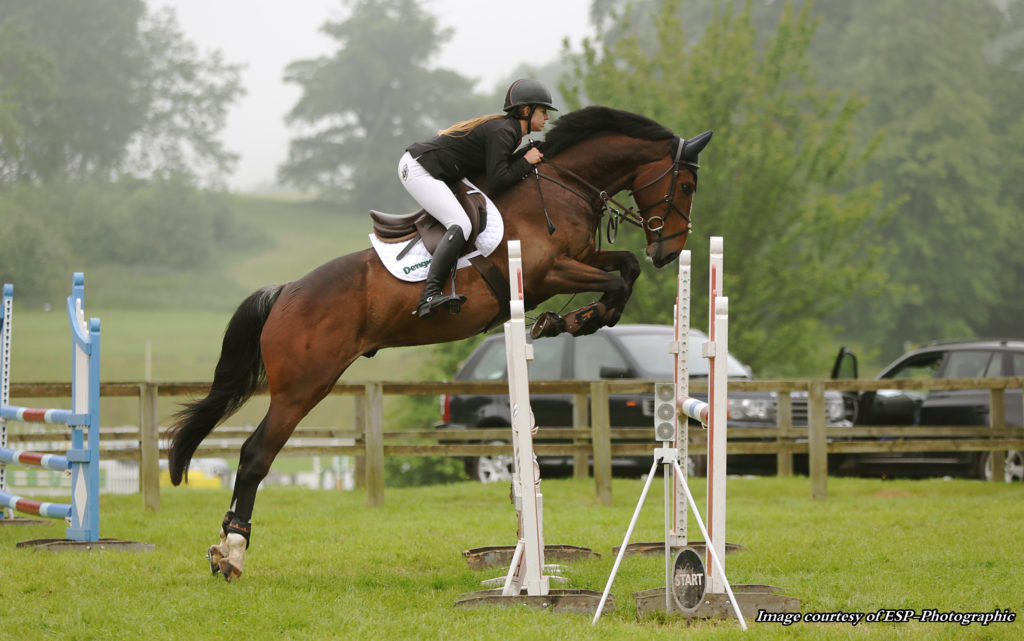 mikey show jumping