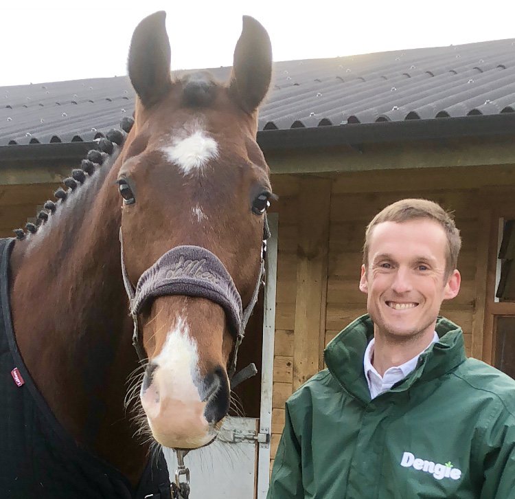 horse with trainer